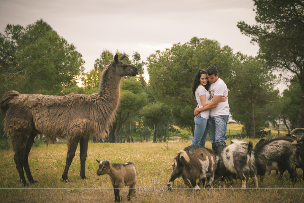 Regidor_fotografos_bodas_badajoz_preboda_004