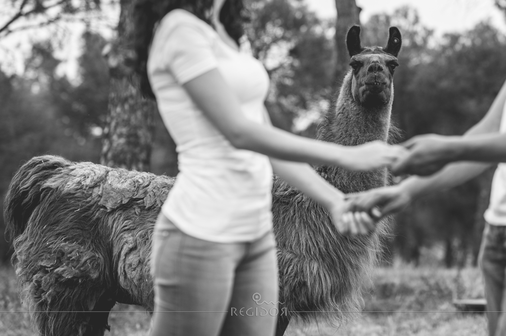 Regidor_fotografos_bodas_badajoz_preboda_005