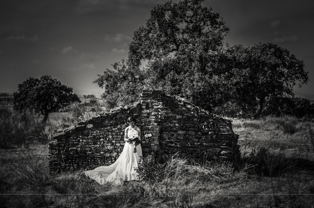 Fotografos de boda marbella malaga estepona 0014