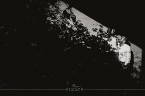 regidorfotografos