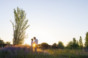 regidorfotografos